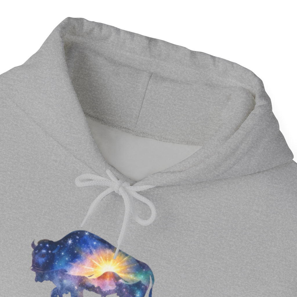 Colorful Bison Graphic Pullover