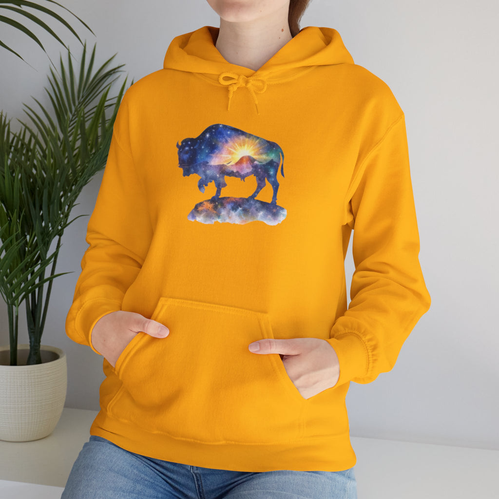 Colorful Bison Graphic Pullover