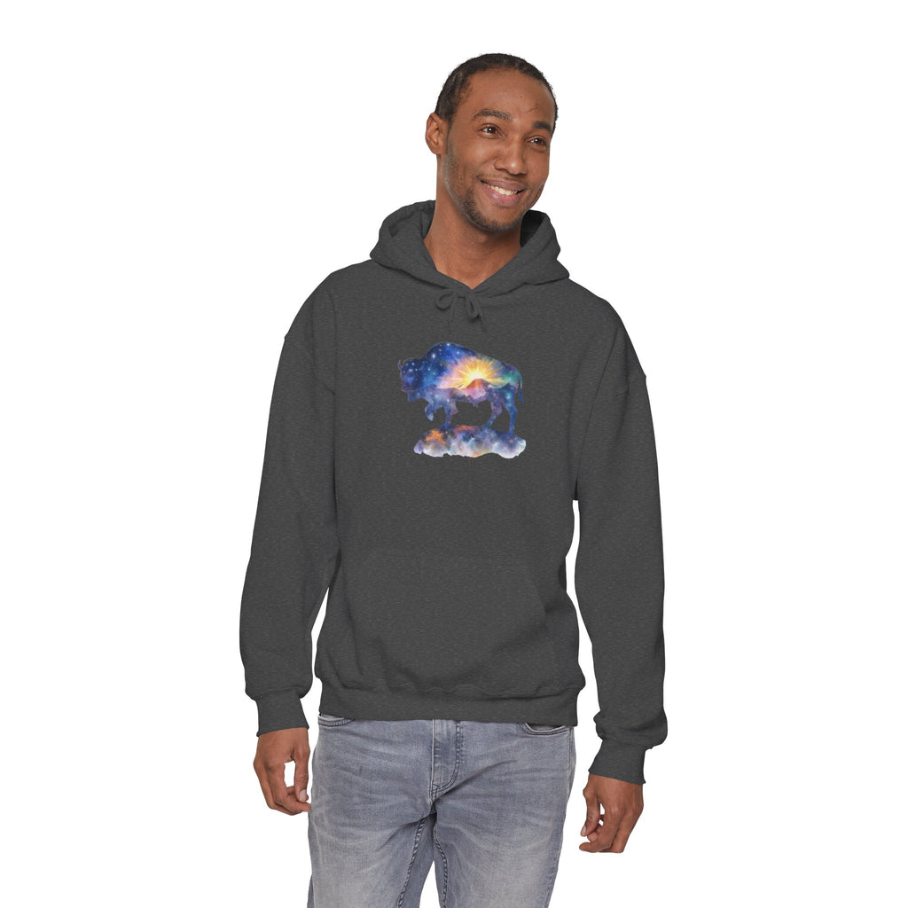 Colorful Bison Graphic Pullover