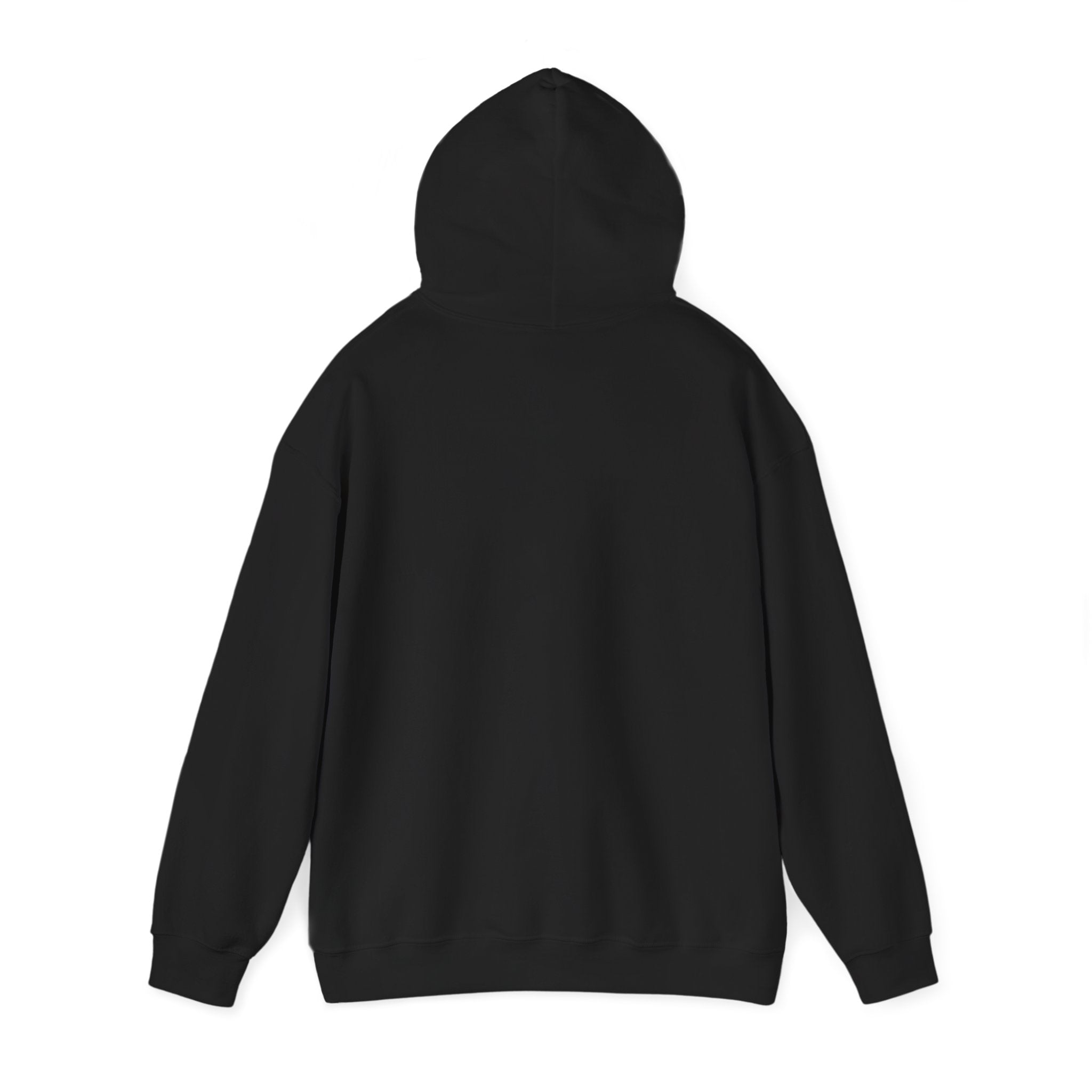 No Drama Llama Hoodie – Retro Sunset Graphic Pullover