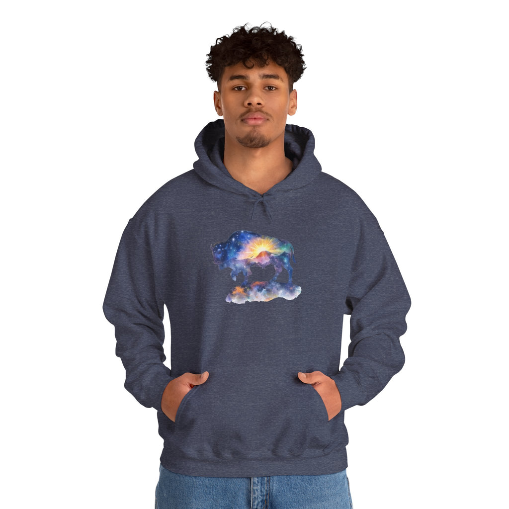 Colorful Bison Graphic Pullover
