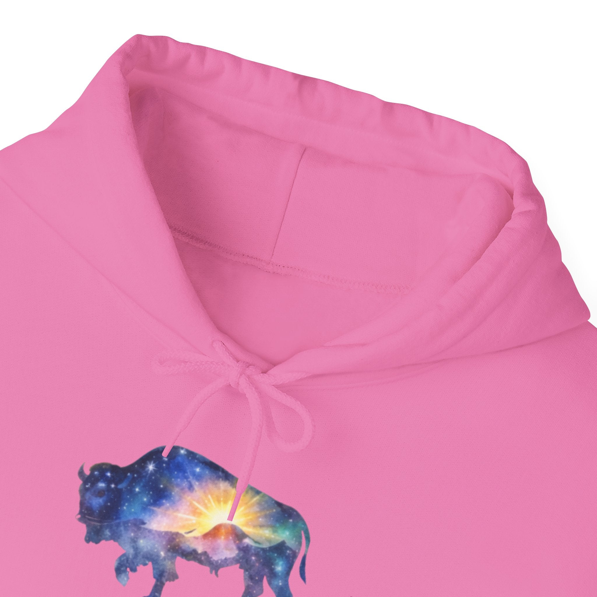 Cosmic Bison Graphic Sweatshirt