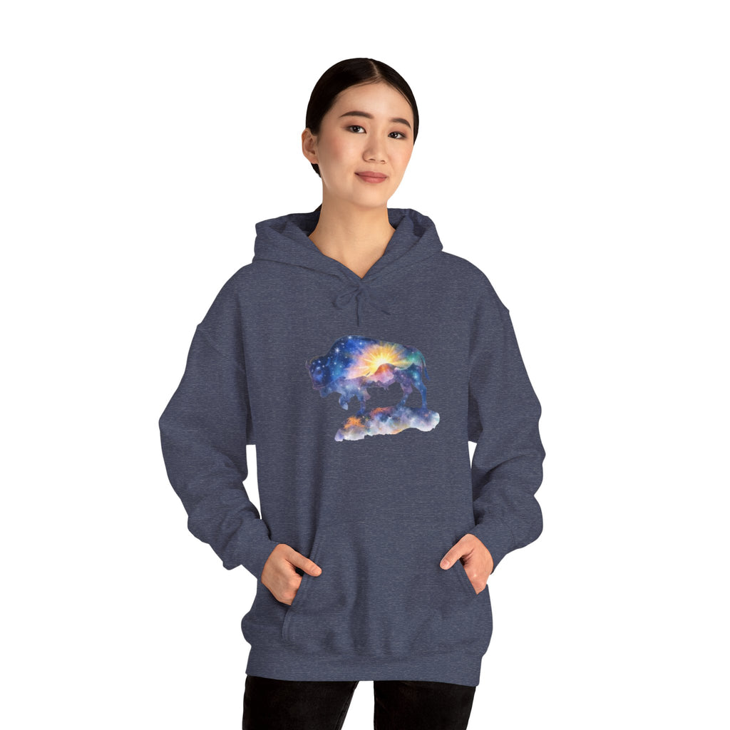 Colorful Bison Graphic Pullover