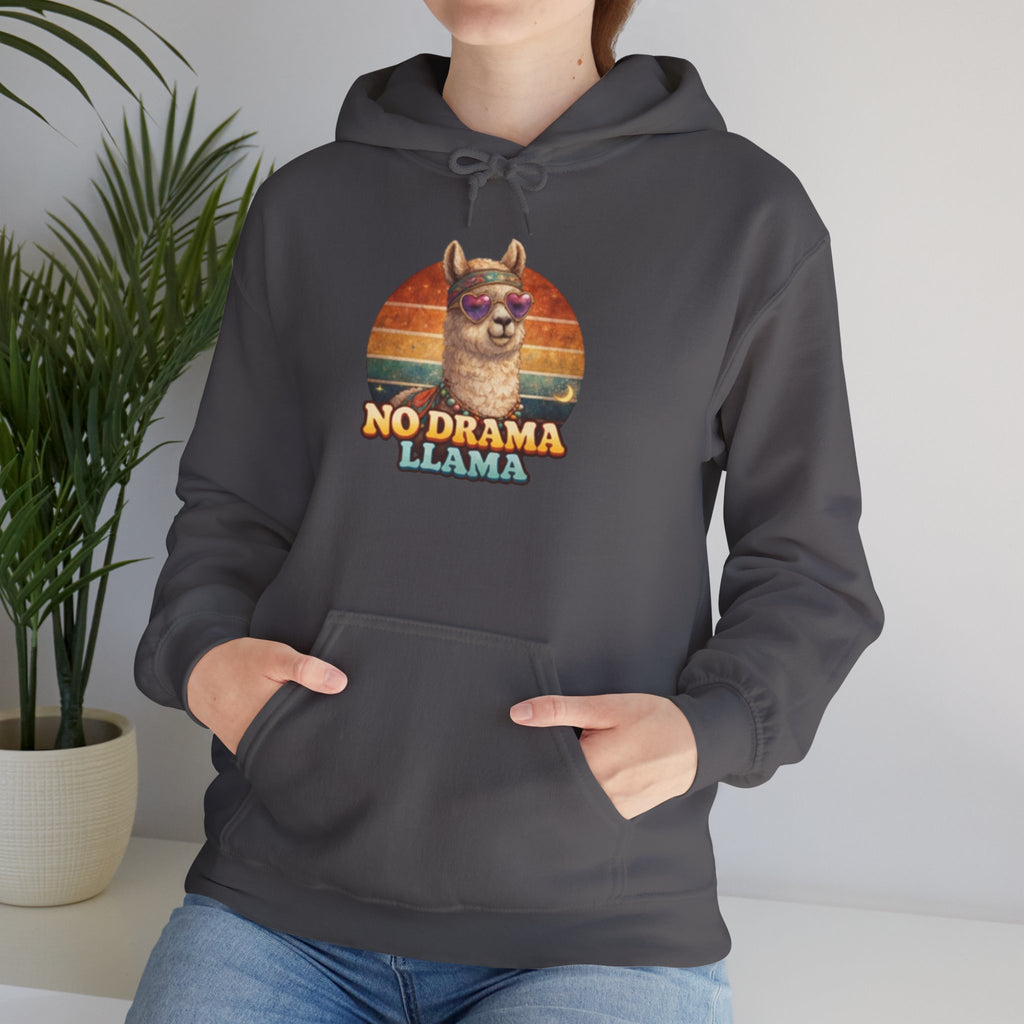 No Drama Llama Hoodie – Retro Sunset Graphic Pullover