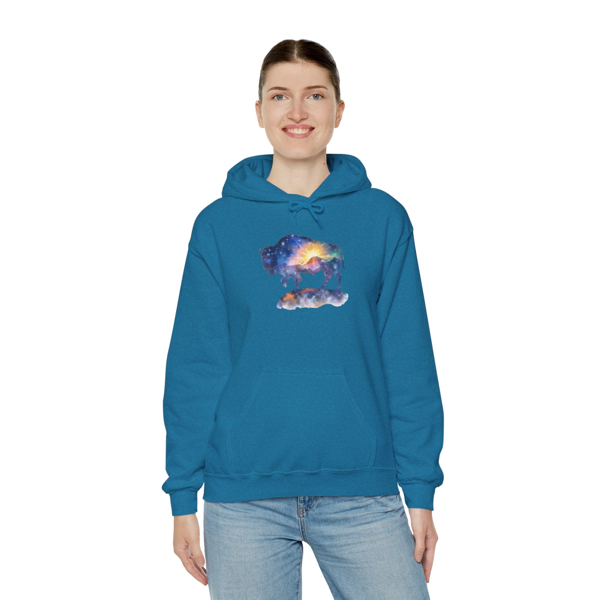 Colorful Bison Graphic Pullover