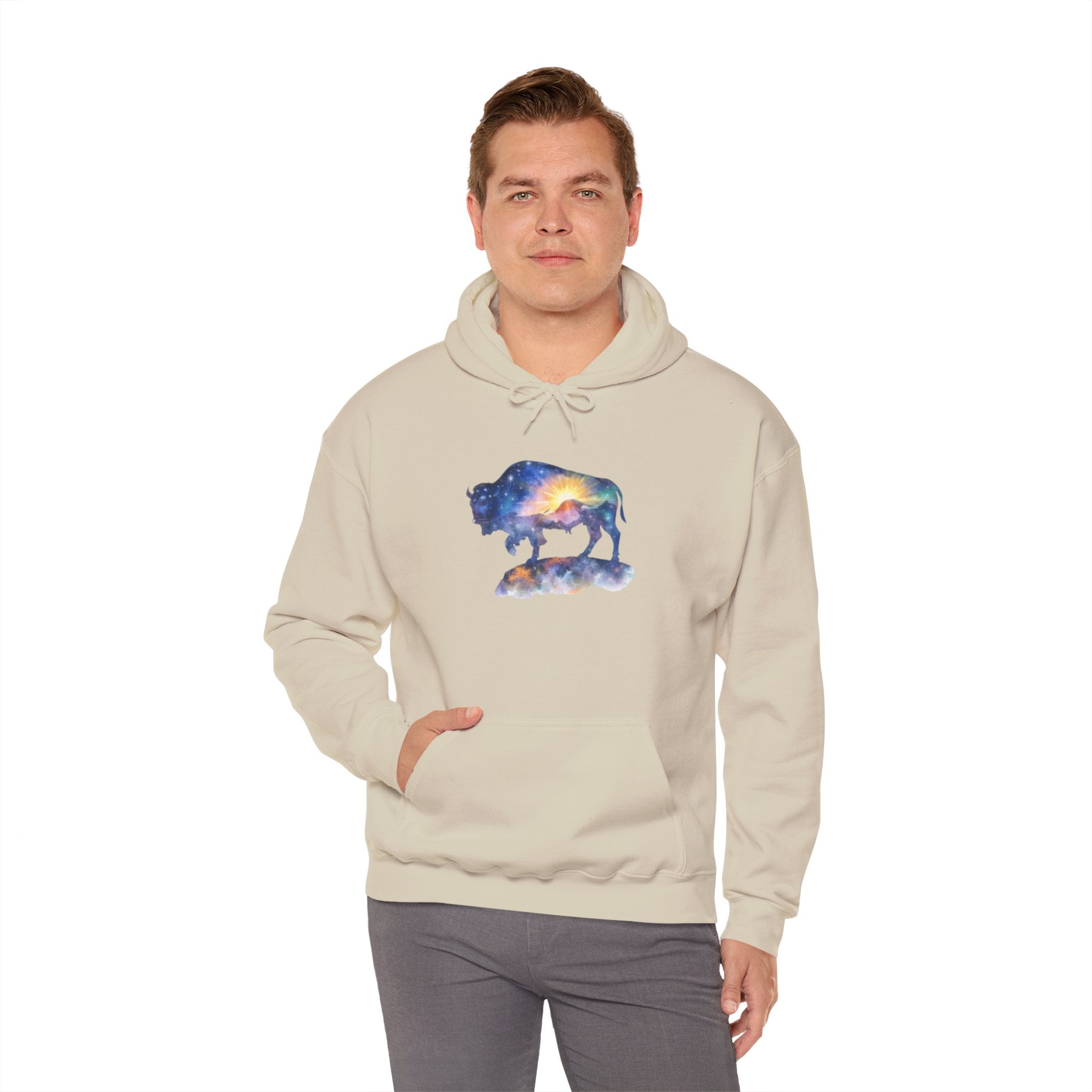 Colorful Bison Graphic Pullover