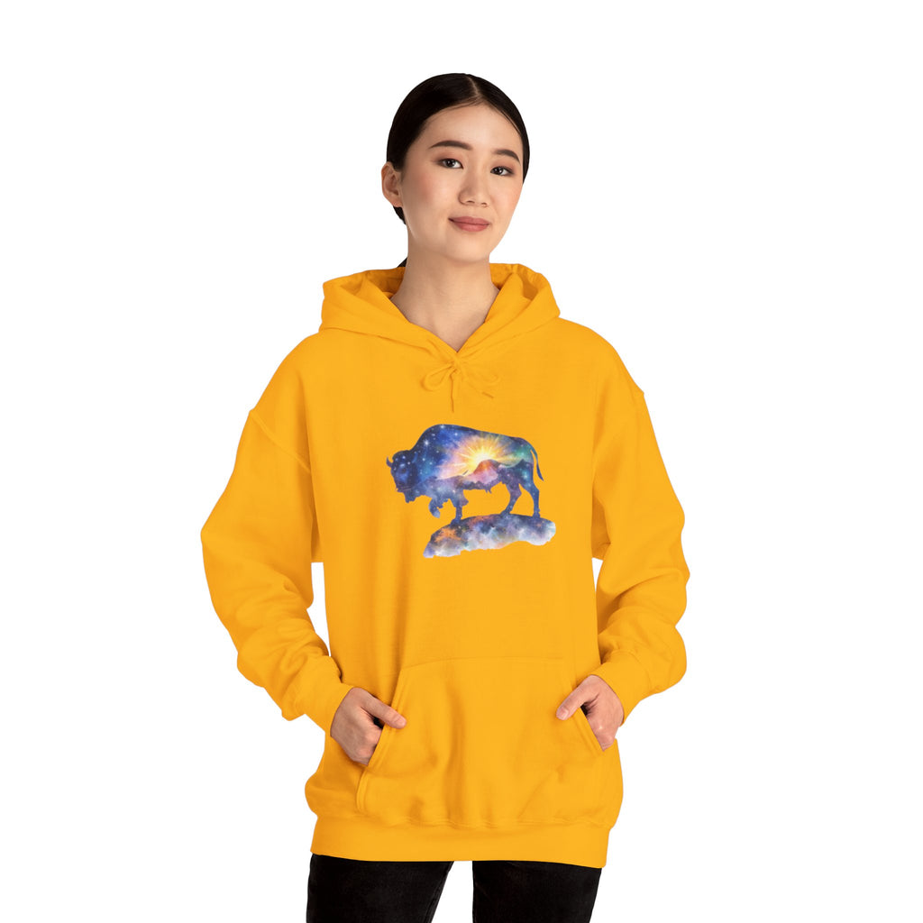 Colorful Bison Graphic Pullover