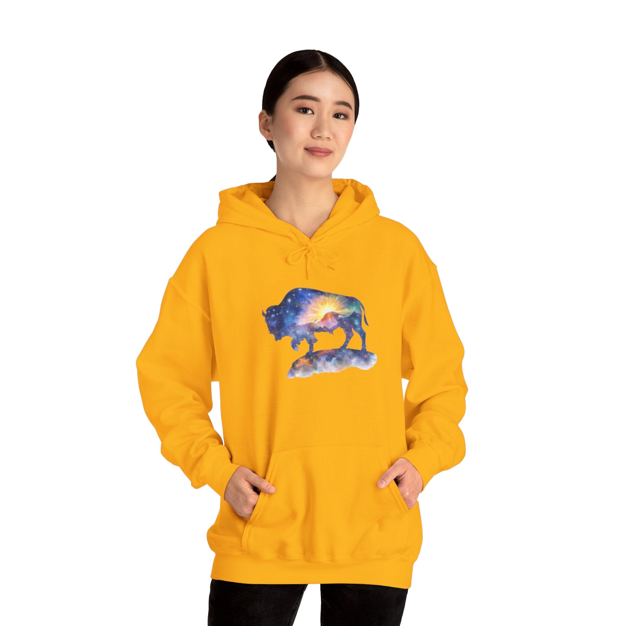 Colorful Bison Graphic Pullover