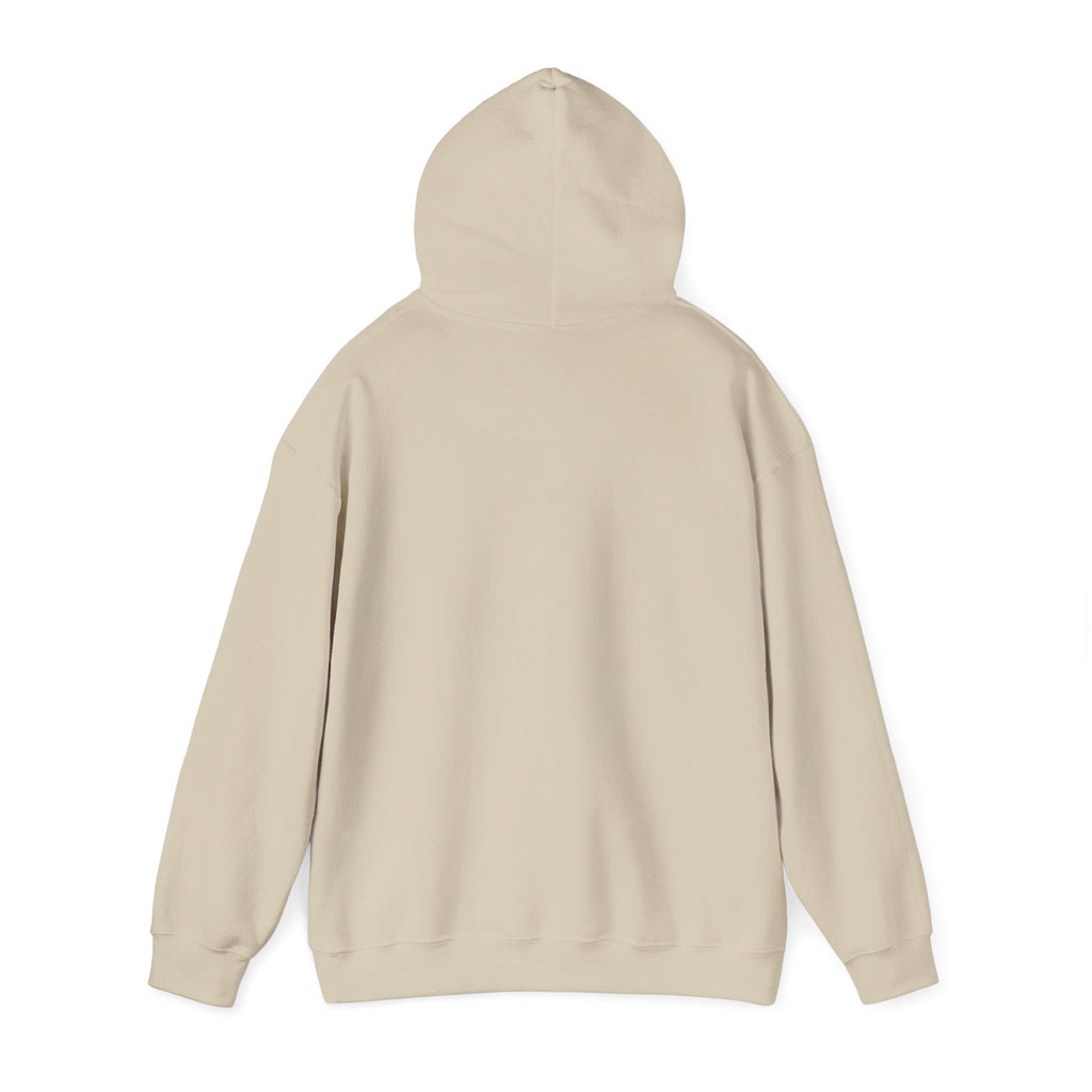 Duck Around Find Out Hoodie | Funny Phrase Pullover Sweatshirt