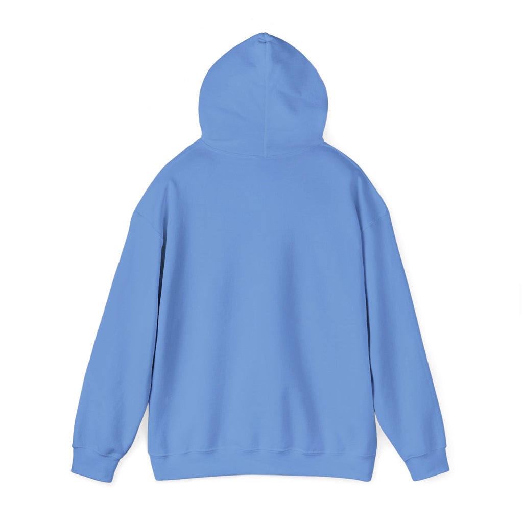 Flock Around & Find Out Hoodie | Funny Typography Pullover