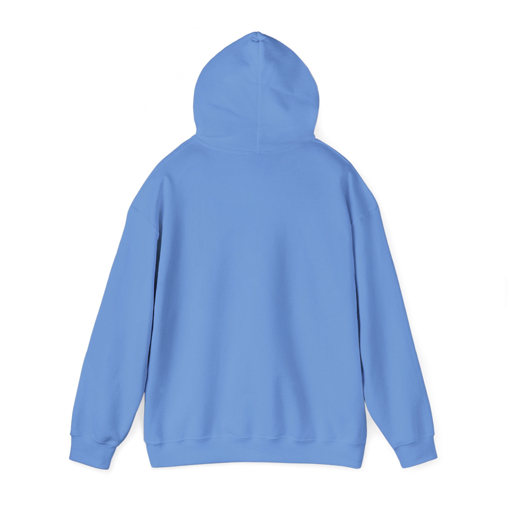 Flock Around & Find Out Hoodie | Funny Typography Pullover