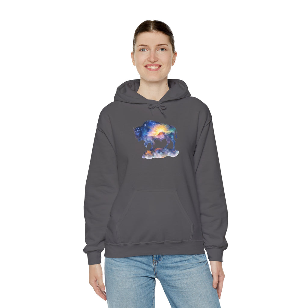 Colorful Bison Graphic Pullover