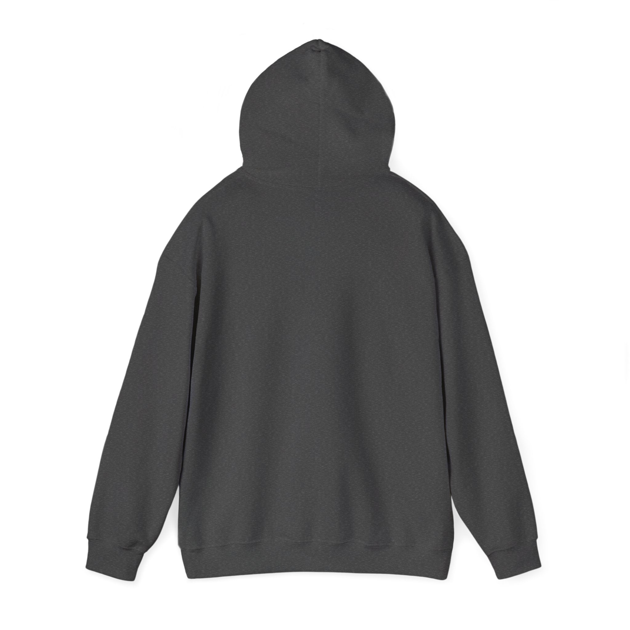Duck Around Find Out Hoodie | Funny Phrase Pullover Sweatshirt