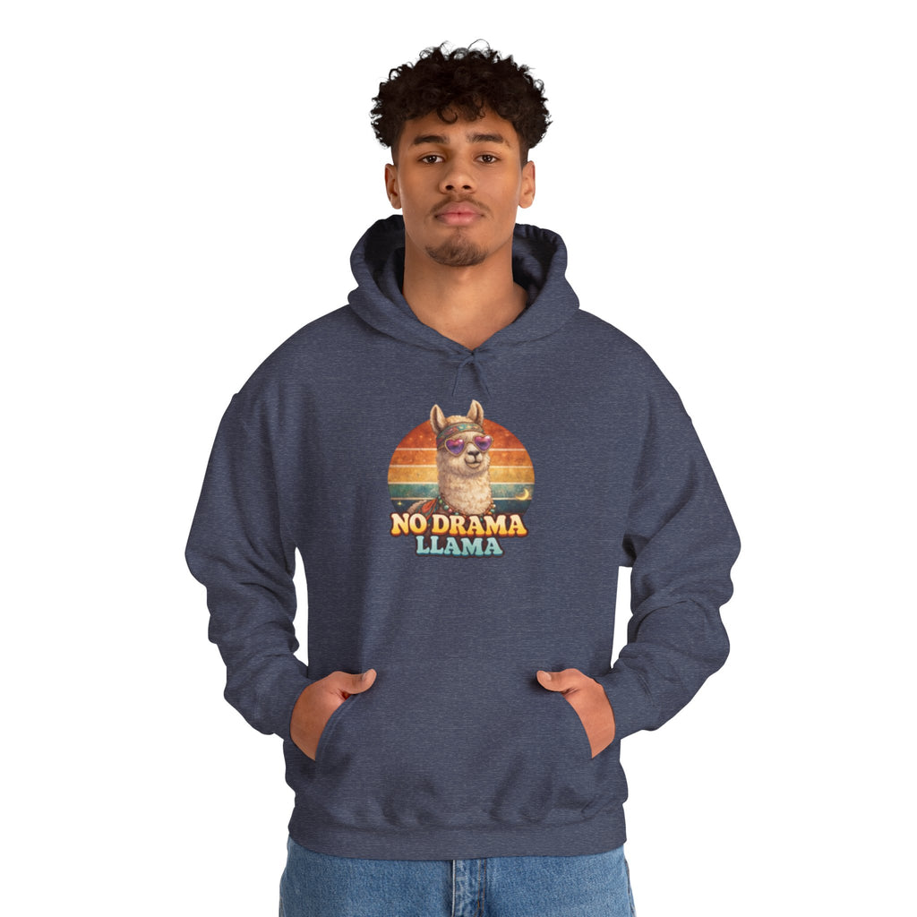 No Drama Llama Hoodie – Retro Sunset Graphic Pullover