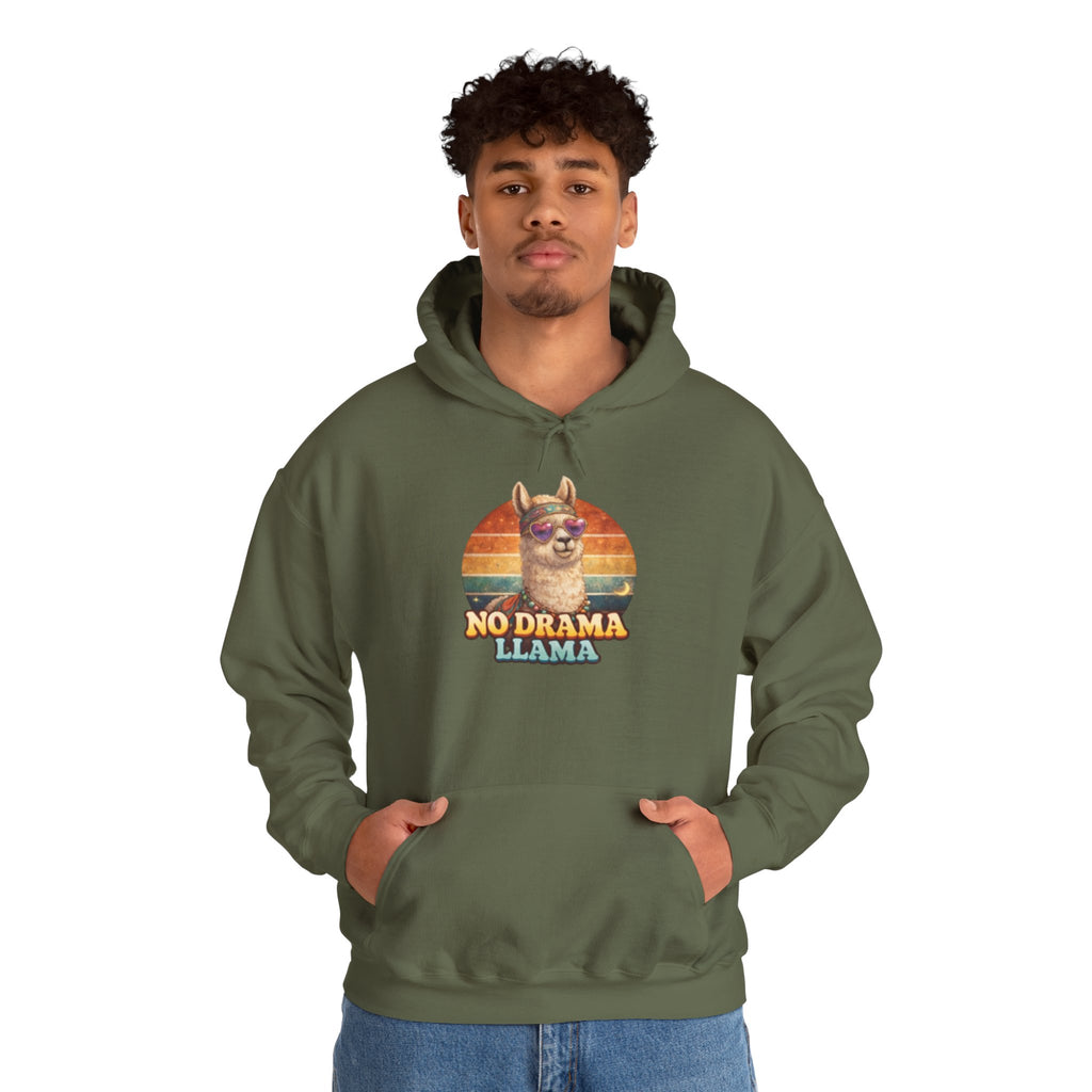 No Drama Llama Hoodie – Retro Sunset Graphic Pullover