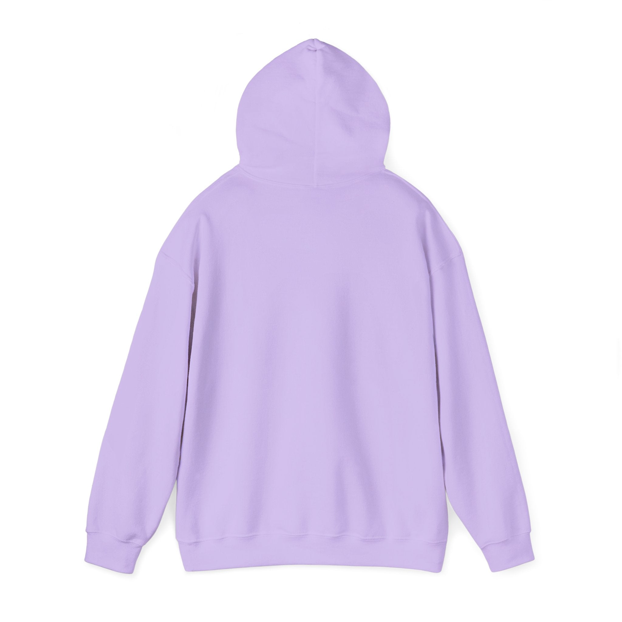 Flock Around & Find Out Hoodie | Funny Typography Pullover