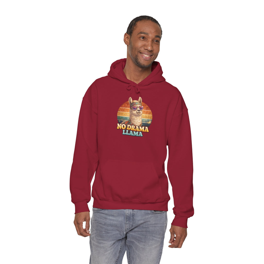 No Drama Llama Hoodie – Retro Sunset Graphic Pullover