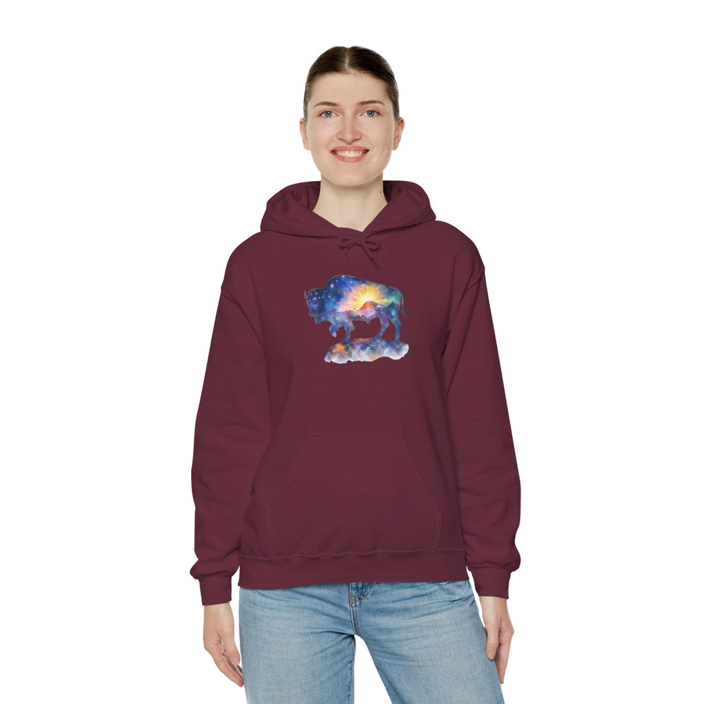 Colorful Bison Graphic Pullover