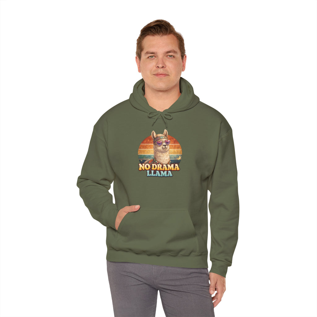 No Drama Llama Hoodie – Retro Sunset Graphic Pullover