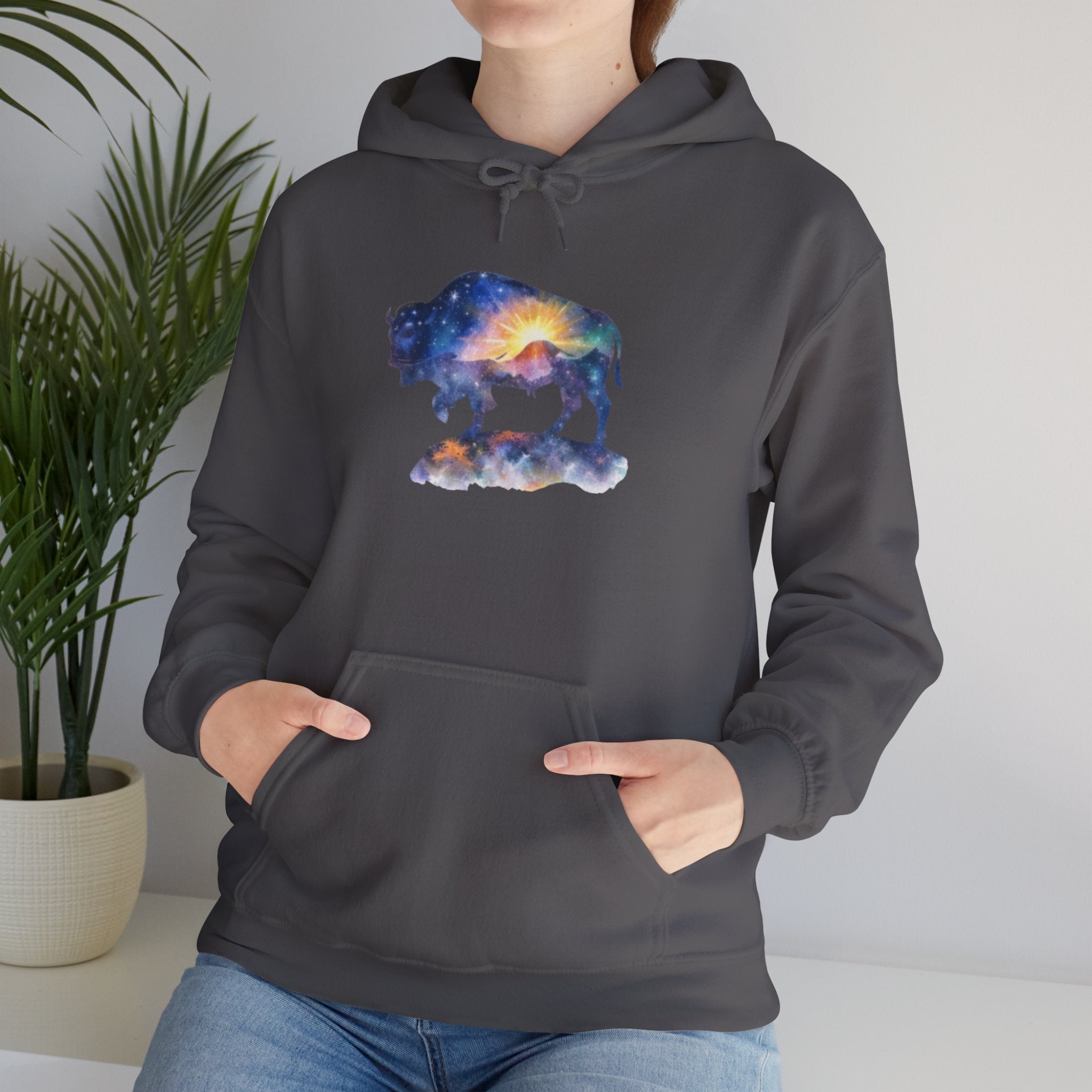 Colorful Bison Graphic Pullover