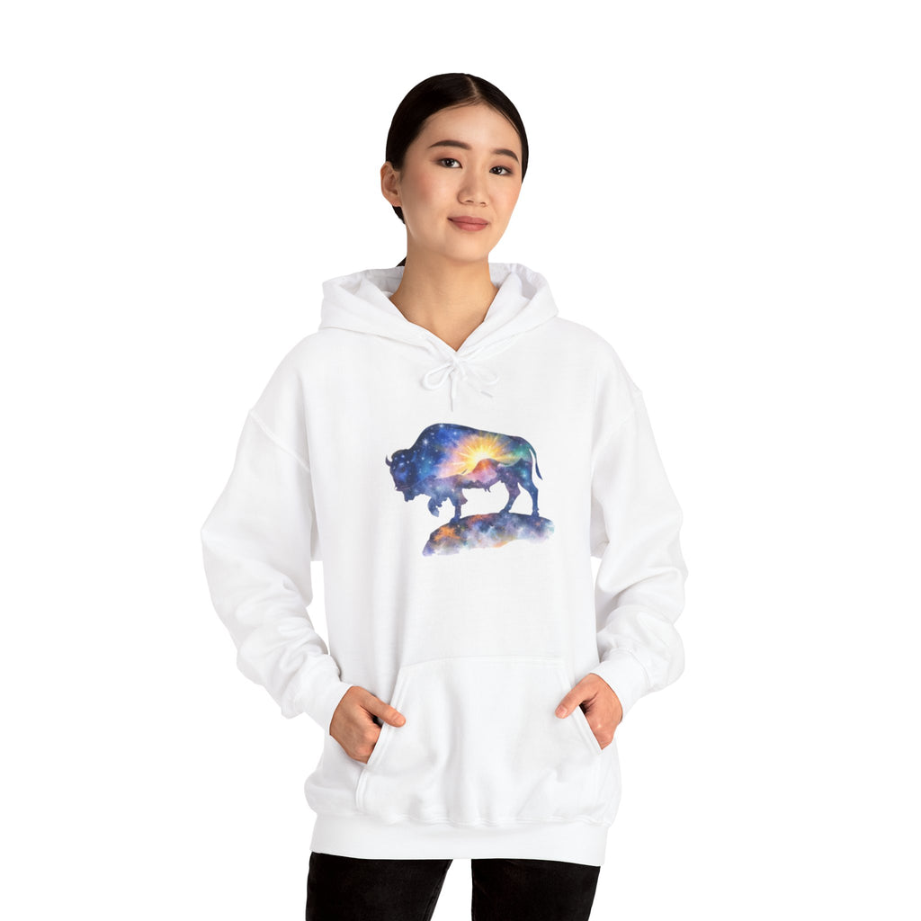 Colorful Bison Graphic Pullover
