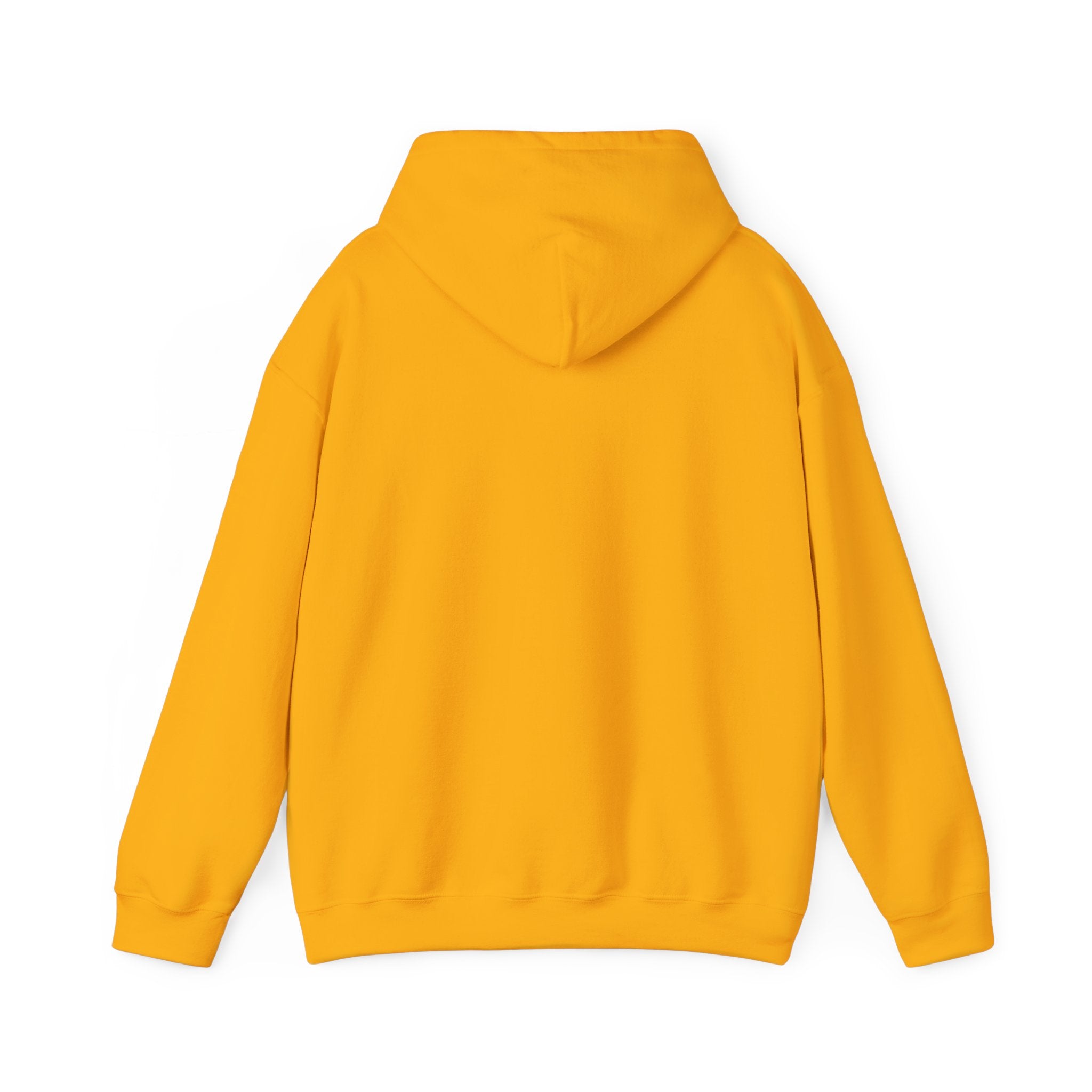 Colorful Bison Graphic Pullover
