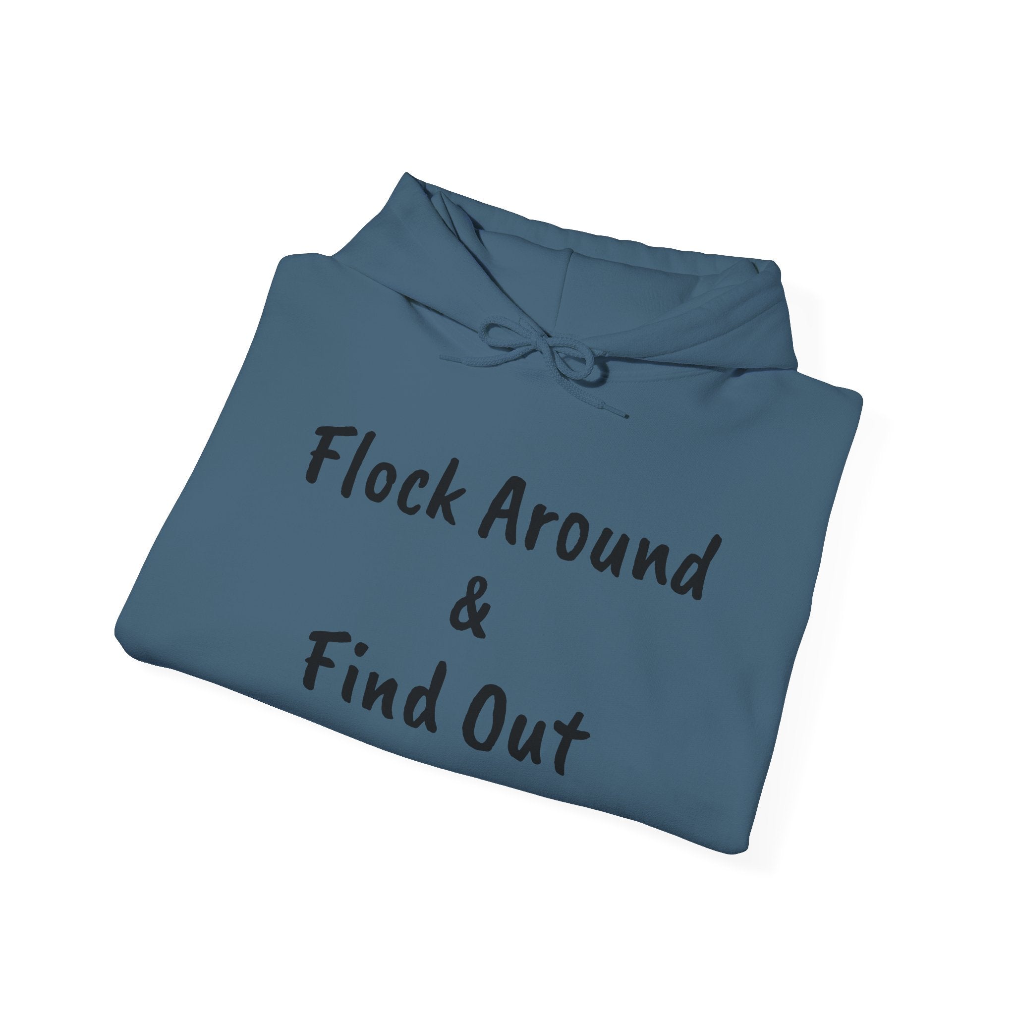 Flock Around & Find Out Hoodie | Funny Typography Pullover