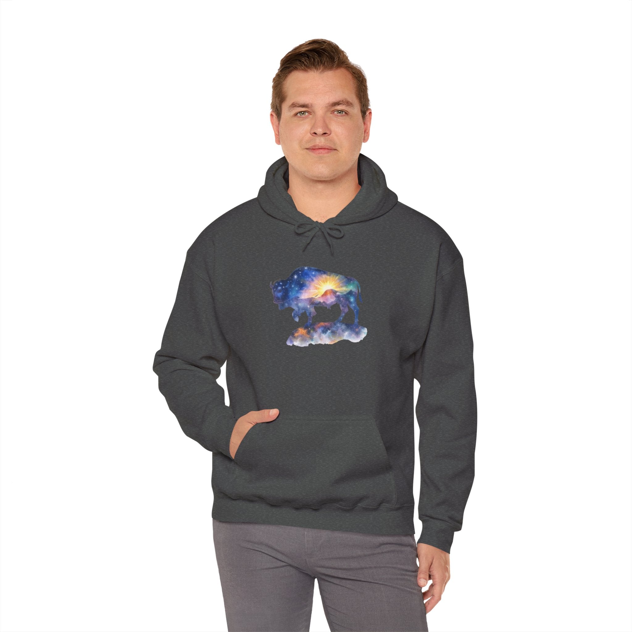 Colorful Bison Graphic Pullover