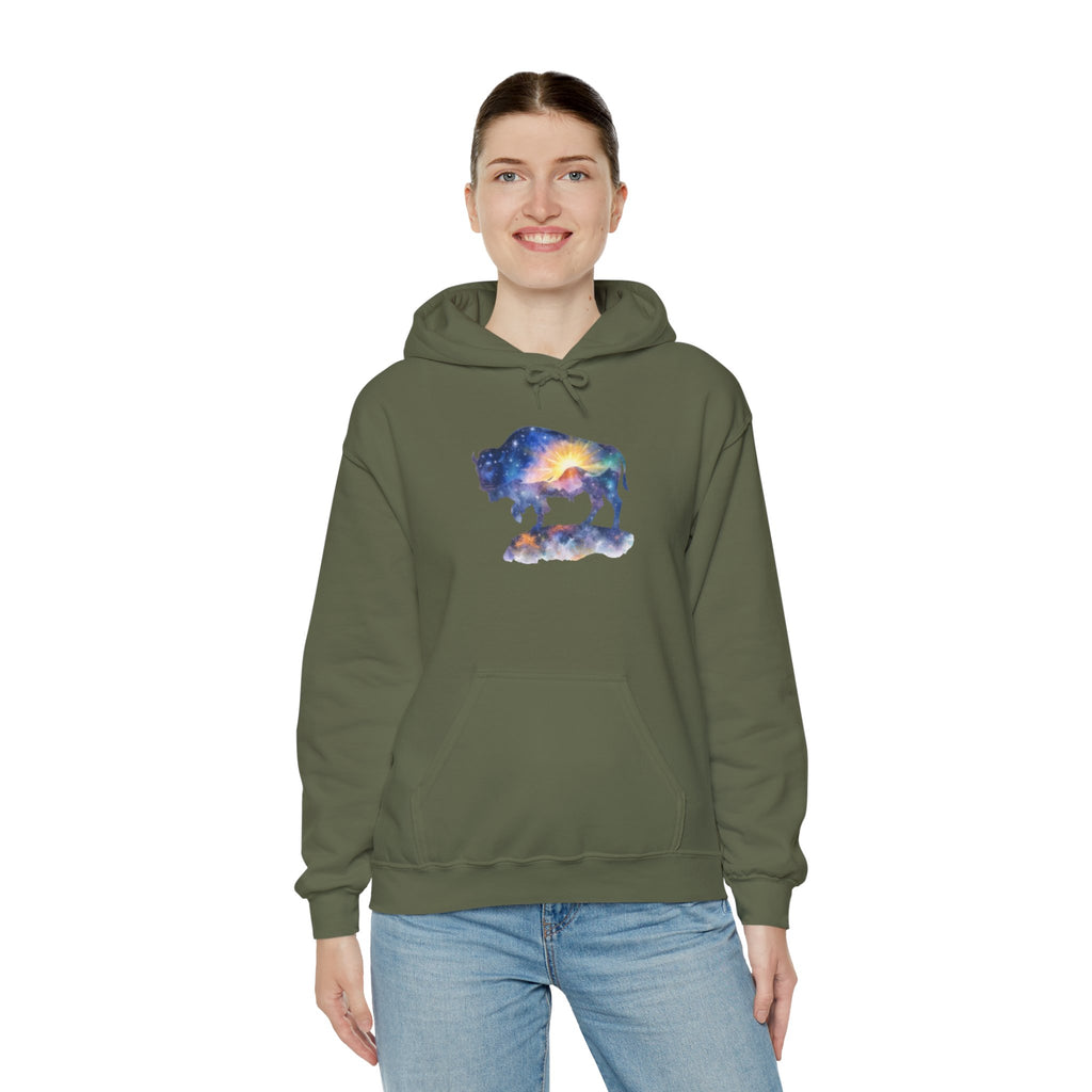 Colorful Bison Graphic Pullover