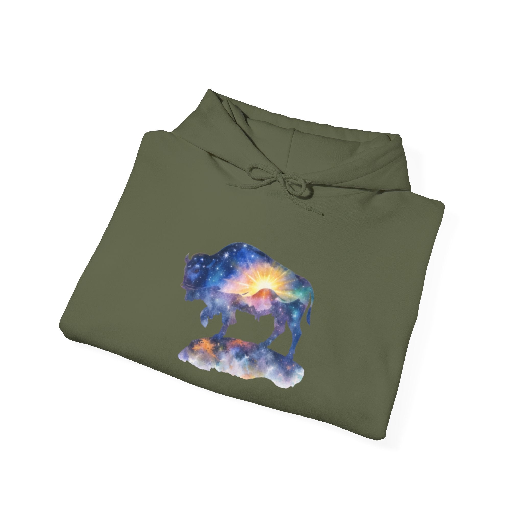 Colorful Bison Graphic Pullover