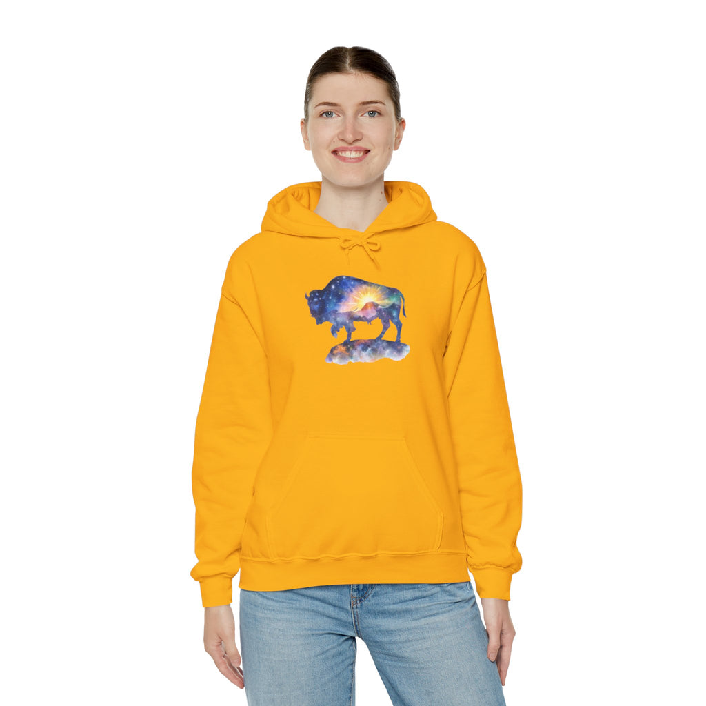 Colorful Bison Graphic Pullover