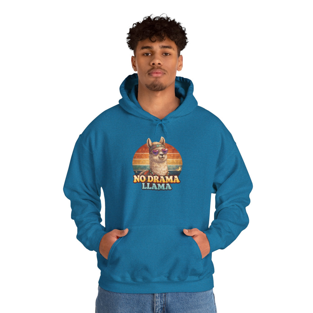 No Drama Llama Hoodie – Retro Sunset Graphic Pullover
