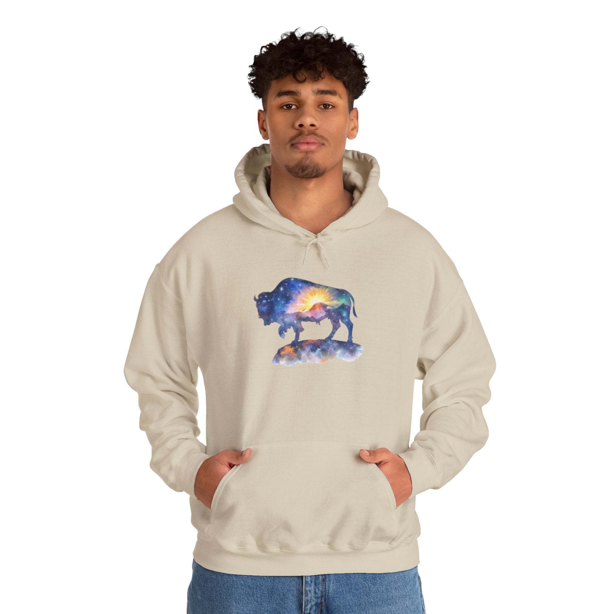 Colorful Bison Graphic Pullover