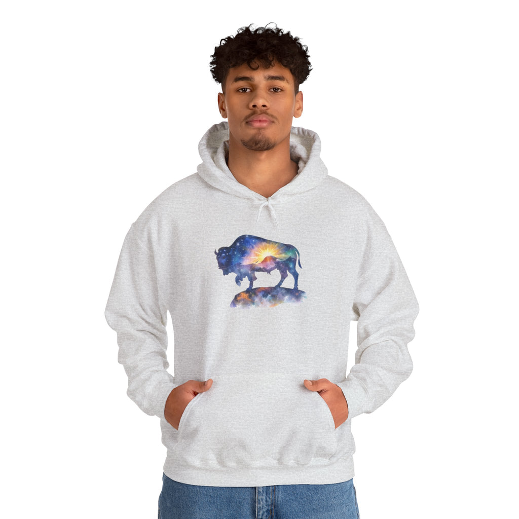 Colorful Bison Graphic Pullover