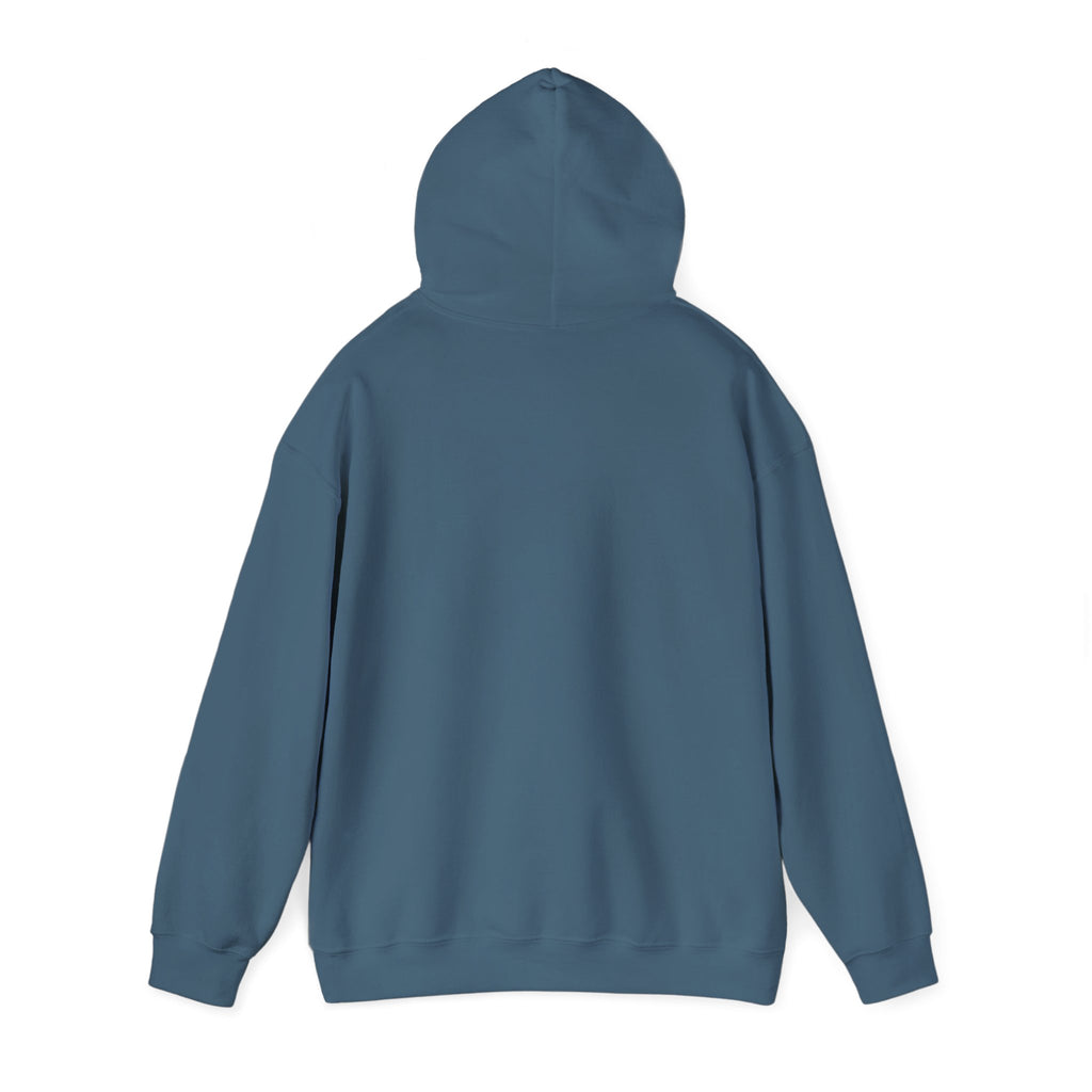 Duck Around Find Out Hoodie | Funny Phrase Pullover Sweatshirt
