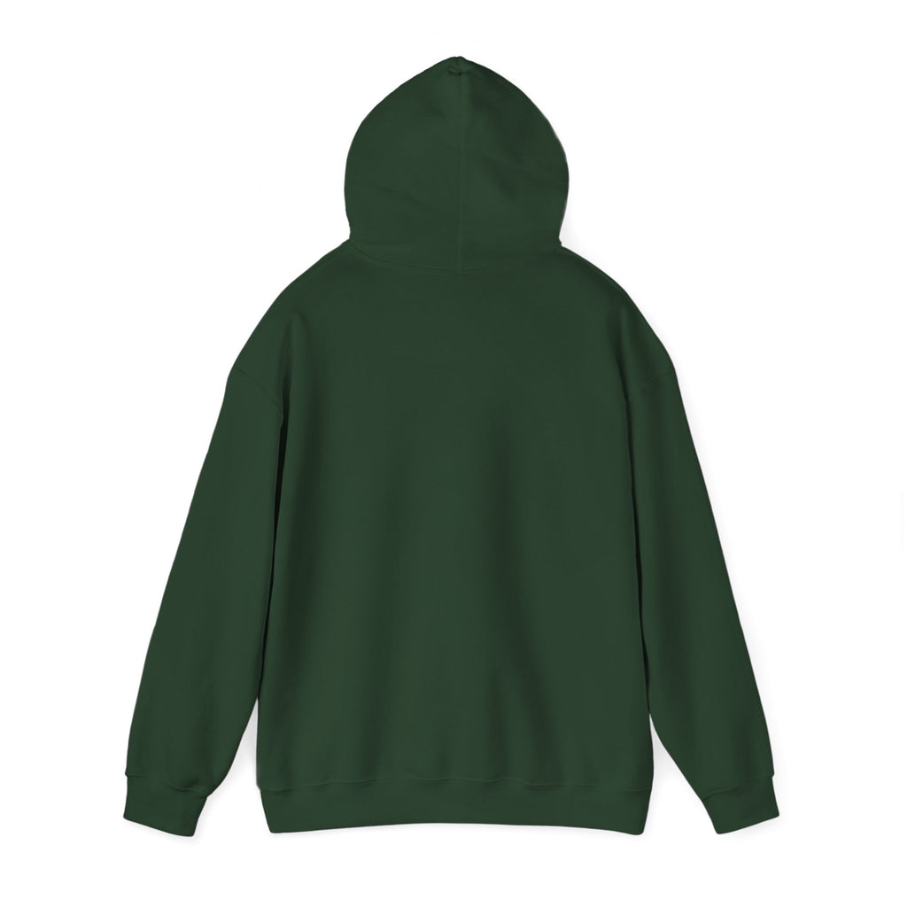 Nature Dreamcatcher Hoodie — Colorful Mountain Sunset Graphic