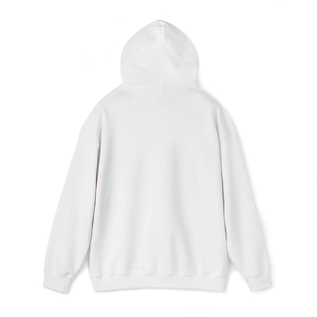 No Drama Llama Hoodie – Retro Sunset Graphic Pullover
