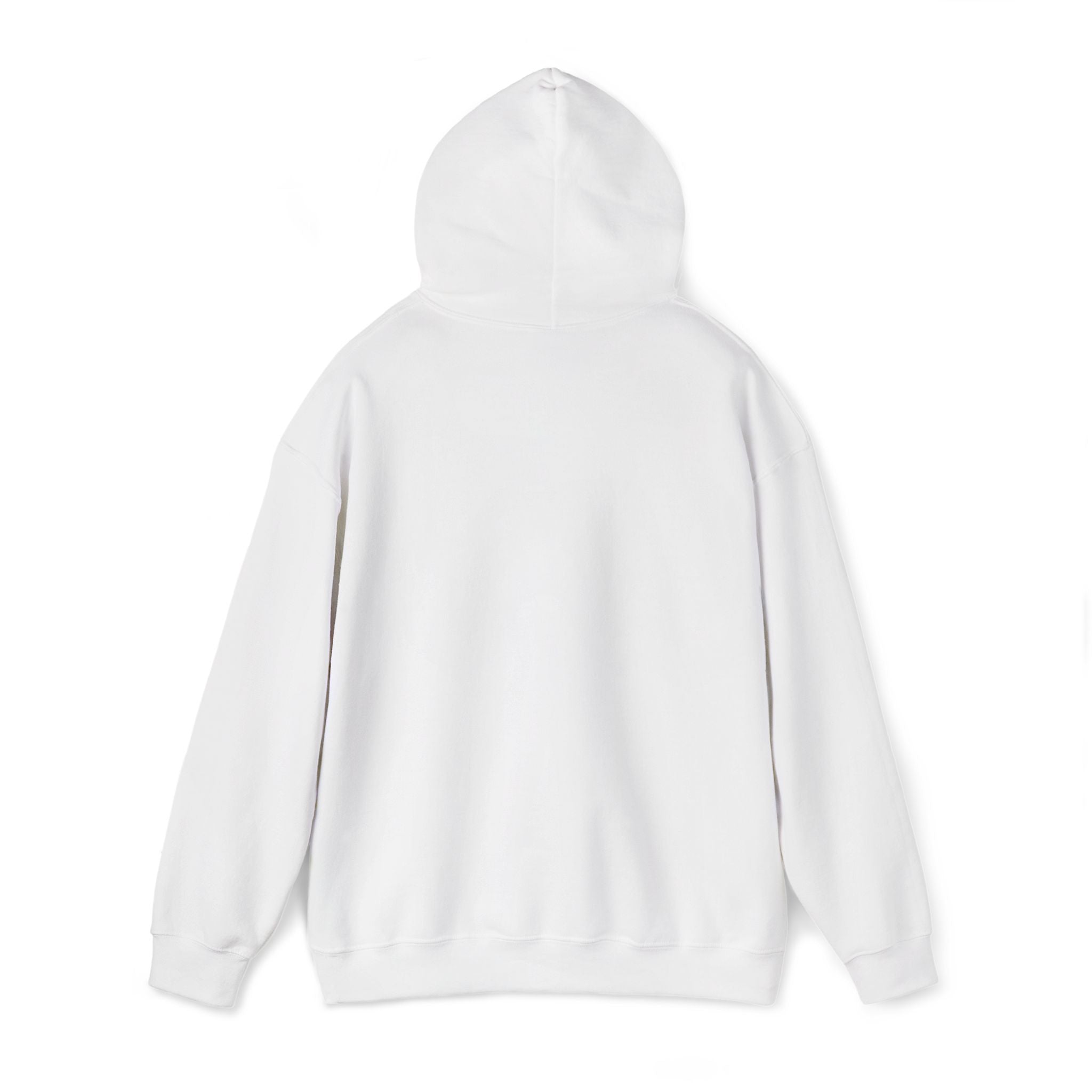 No Drama Llama Hoodie – Retro Sunset Graphic Pullover