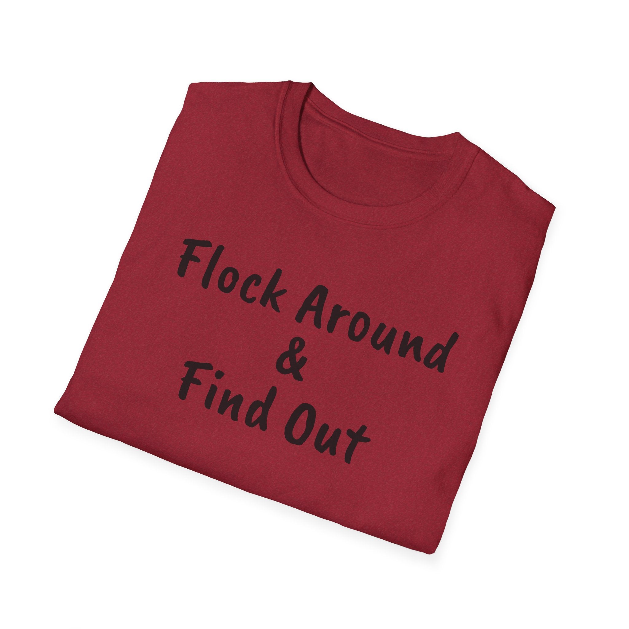 Copy of Flock Around and Find Out — Distressed Embroidered Dad Hat