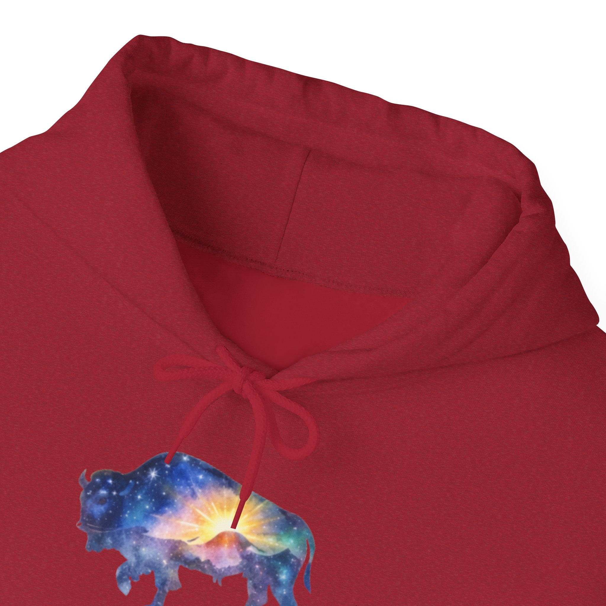 Cosmic Bison Graphic Sweatshirt