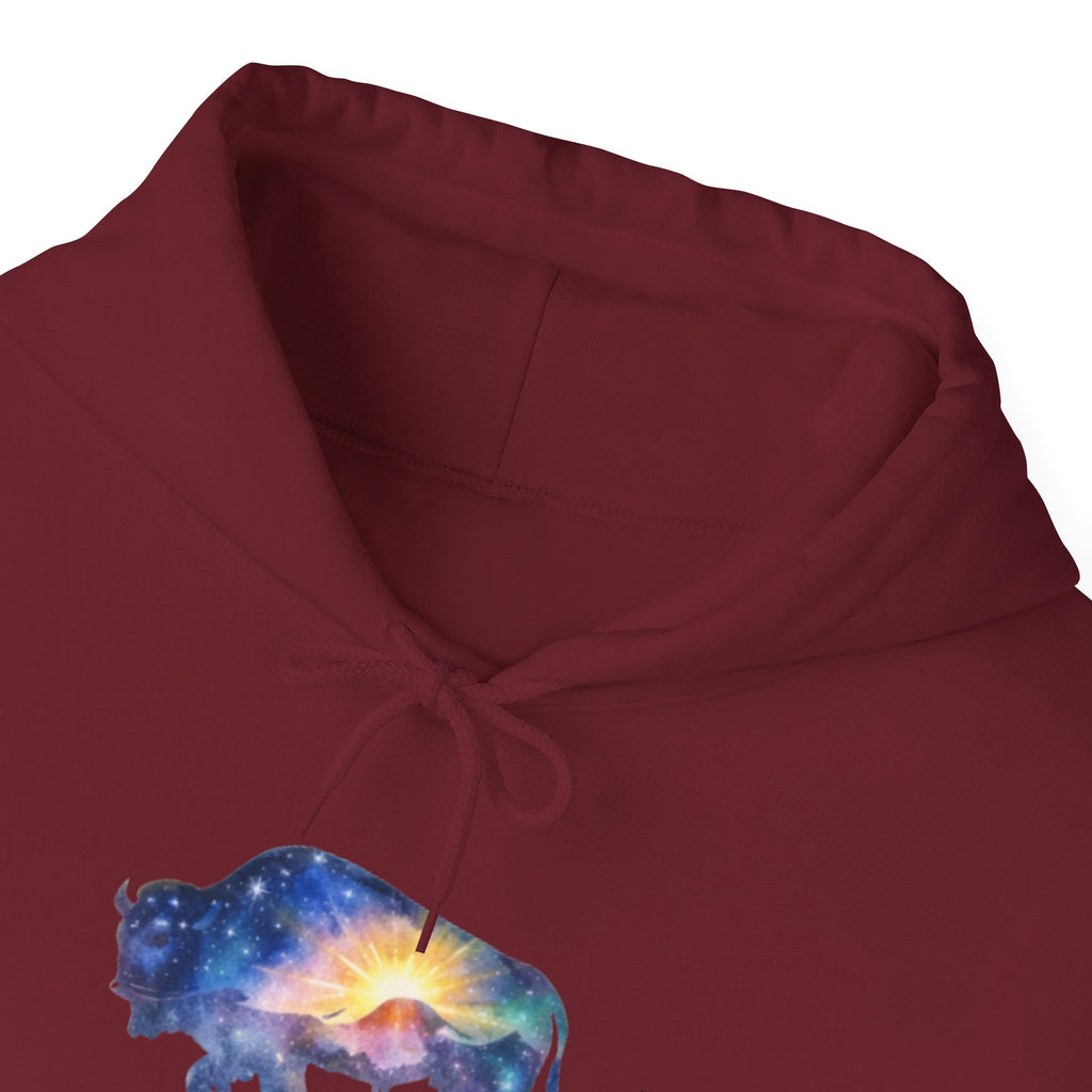 Colorful Bison Graphic Pullover